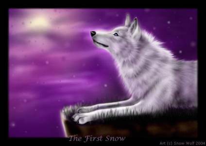 the_first_snowsnowwolfmystic
