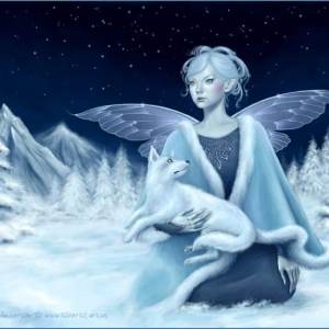 winter_fairysilverstars