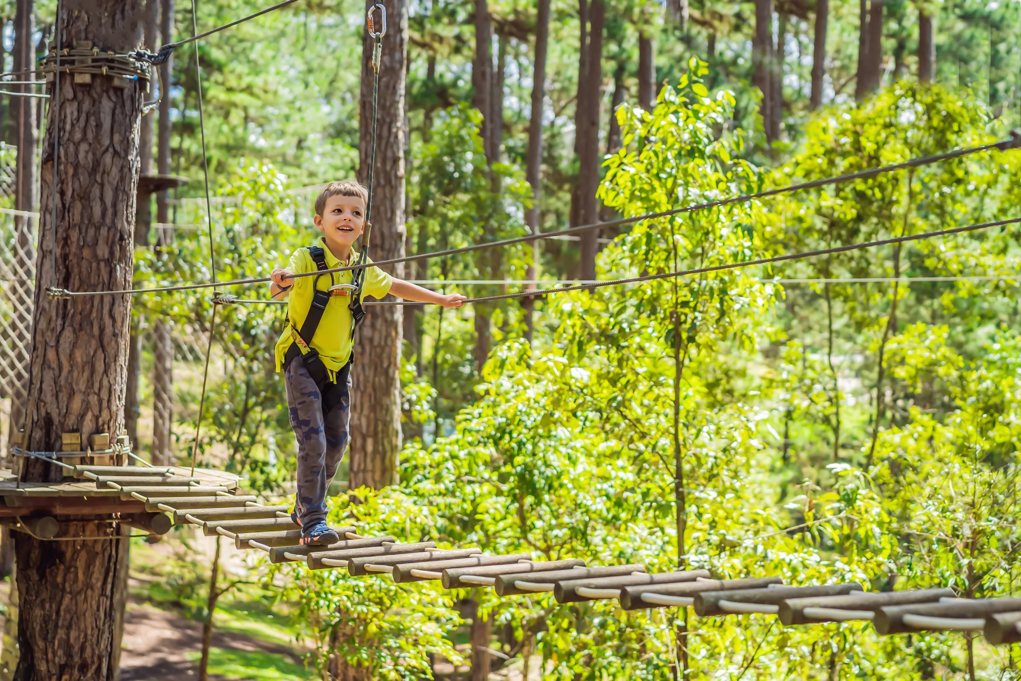 Un enfant en casque orange glisse sur une tyrolienne depuis une tour en bois, au-dessus d'une vallée de sapins et de falaises